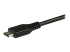 StarTech.com USB C to Fiber Optic Converter - Nærbilde