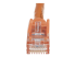 StarTech.com 100ft CAT6 Ethernet Cable, 10 Gigabit Snagless RJ45 650MHz 100W PoE Patch Cord, CAT 6 10GbE UTP Network Cable w/Strain Relief, Orange, Fluke Tested/Wiring is UL Certified/TIA - Nærbilde